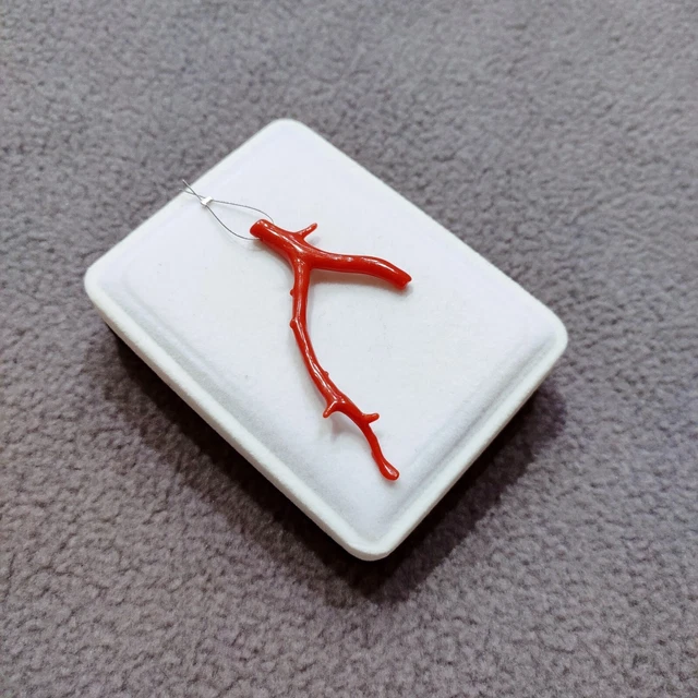 Branche De Corail Rouge Italien Naturel Poli - Pierre Précieuse, 7 Carats, Qualité Excellente