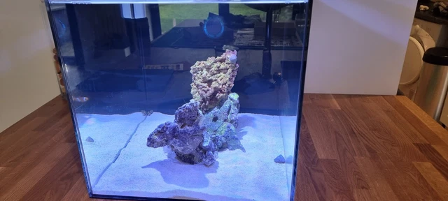Waterbox Peninsula Mini 15 57 litre CUBE aquarium