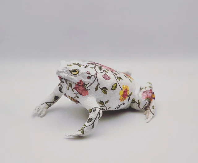 Cane Toad