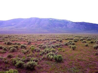 Land In Nevada 40 Acres. Monthly Payment Option. Immediate Use. USA 2