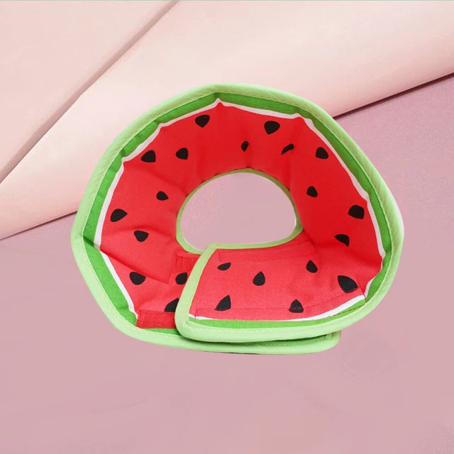 Anti-bite Puppy Recovery Ring Cat Recovery Collar Chocker Headgear