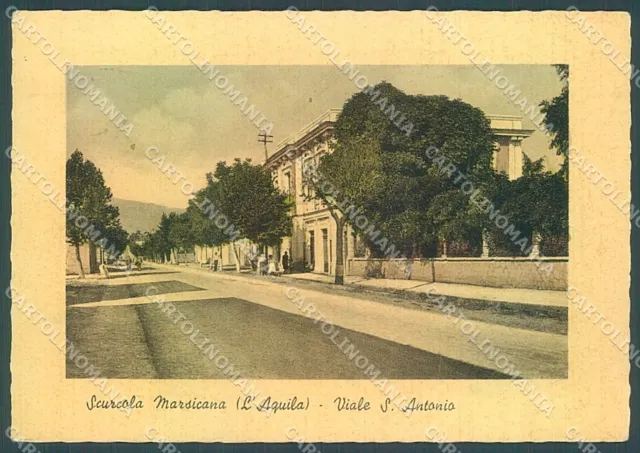 L'Aquila Scurcola Marsicana Viale S. Antonio Alterocca 40802 FG cartolina JK4385