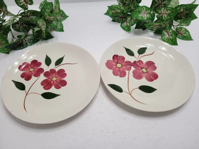 Blue Ridge Southern Pottery Mayflower Pattern Dinner Plates Set Of 2 Vintage
