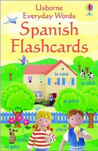 EVERYDAY WORDS IN Spanish Flashcards (Everyday Words Flashcards) NEUF ...