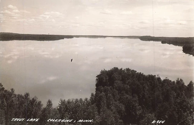 RPPC Aerial View Trout Lake Coleraine Minnesota MN Real Photo P518