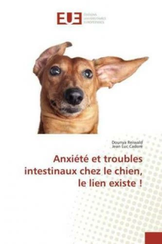 Anxiété et troubles intestinaux chez le chien, le lien existe !  3013