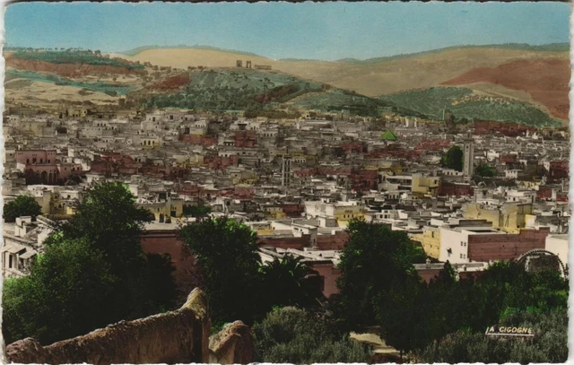 CPA AK MAROC FEZ Vuer sur la ville MEDINA (10258)