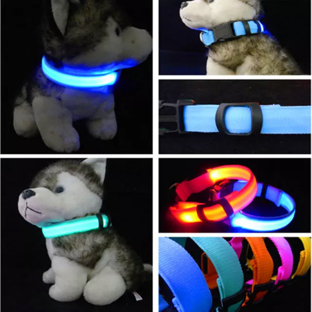 Nylon Animali Collare per Cani Luce LEd Accendere Splendore Gatto Collar Collari