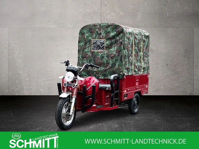 Elektro Lastendreirad 42 km /h  BIG POWER MOTOR mit Plane und Spriegel