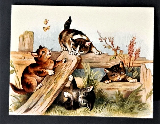 NEW Vntg Style Thank You Note w Envelope  KITTENS PLAYING / BUTTERFLIES  Mfr USA