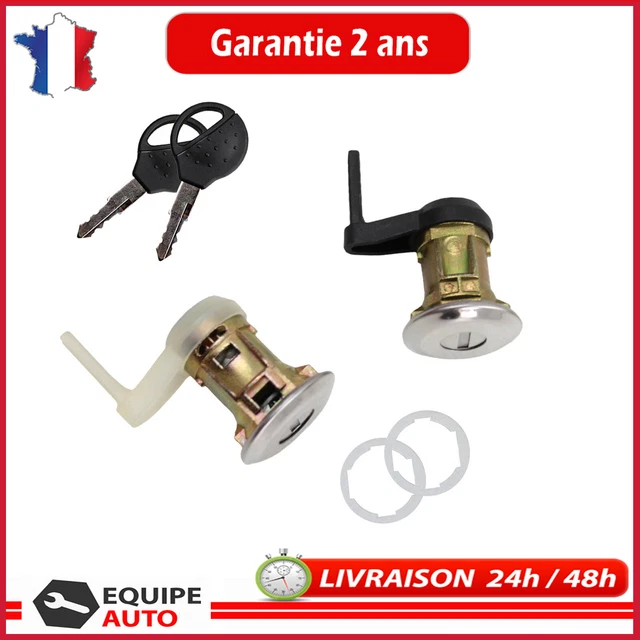 Guide complet des types de palmiers : identification, utilisations et Guide complet des types de palmiers : identification, utilisations et