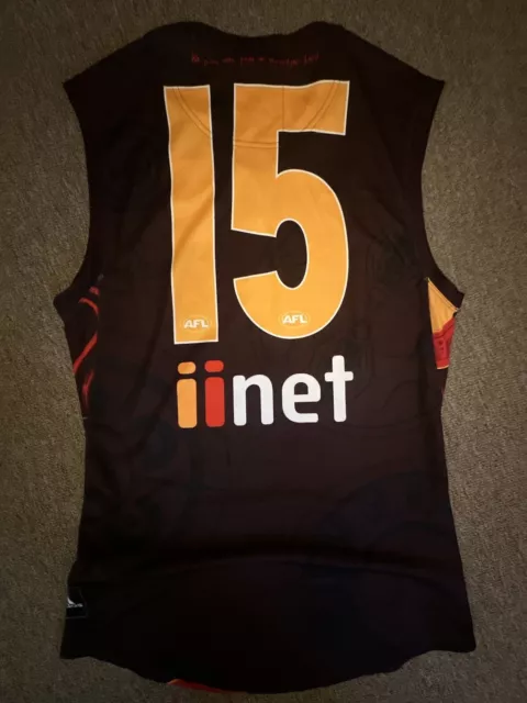 Hawthorn Hawks Afl Vfl Guernsey Jumper Jersey Player Issue Puma Worn #15 Hodge