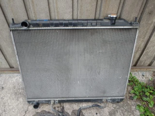 NISSAN ELGRAND 2002 GH-APE50 Radiatore 21460VG300 [Usato] [PA67700792]