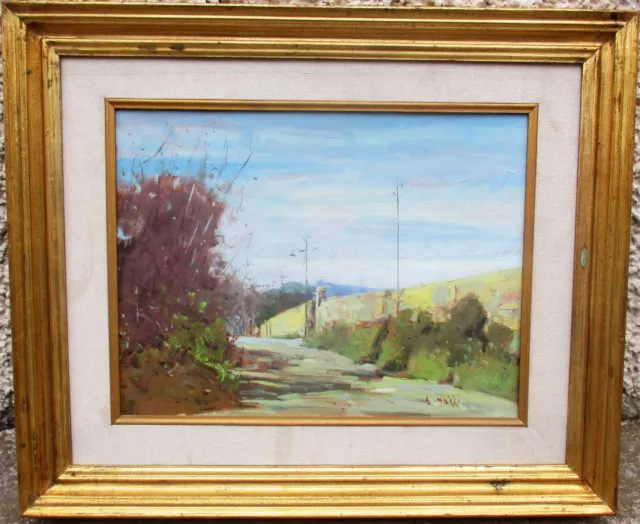 Aldo Mazzi - Lungo Il Muro Della Villa - Vecchio Quadro Dipinto Olio