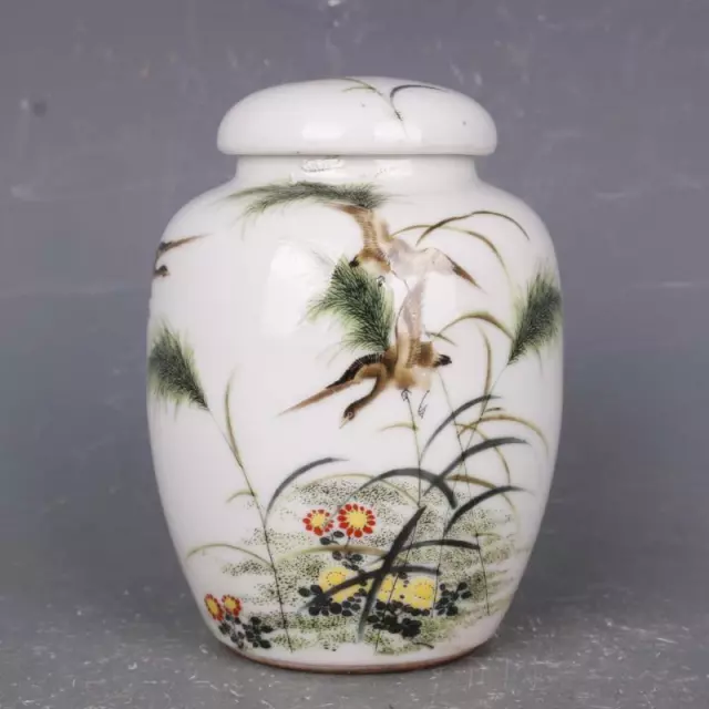 Chinese Famille Rose Porcelain Qing Guangxu Flowers Birds Pot Tea Caddy 4.33"