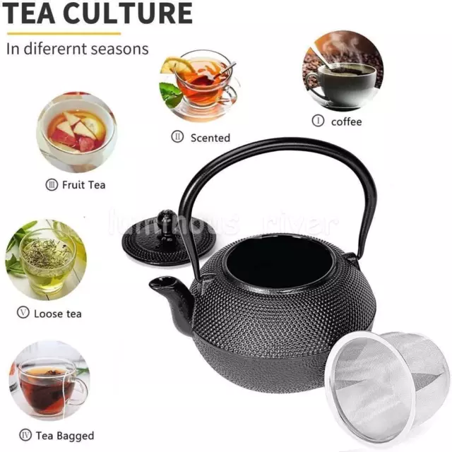 Cast Iron Tea pot Japanese Style Water Kettle with Removable Strainer Filter 3