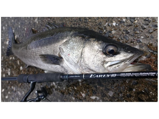 Canne à Pêche Spinning Yamaga Blanks EARLY 96MMH/4plis – Expédition Rapide Du Japon