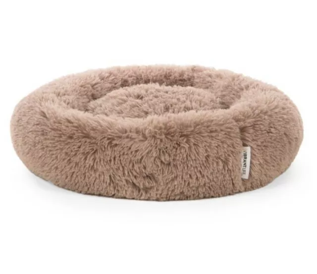 Cozy Lounger Pet Bed Mattress Edition, Small, 24"x24"