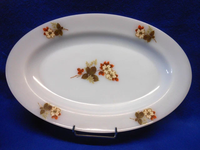 Plats à four arcopal « fruits de france » - Canada