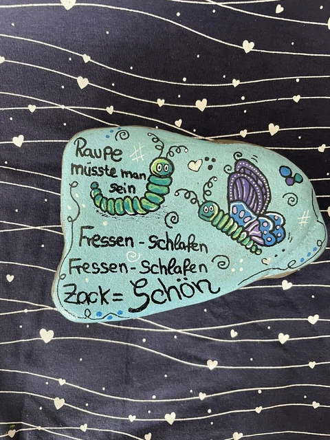 GROSSER BEMALTER STEIN Glück Spruch Raupe schön Deko Geschenk EUR 4,99
