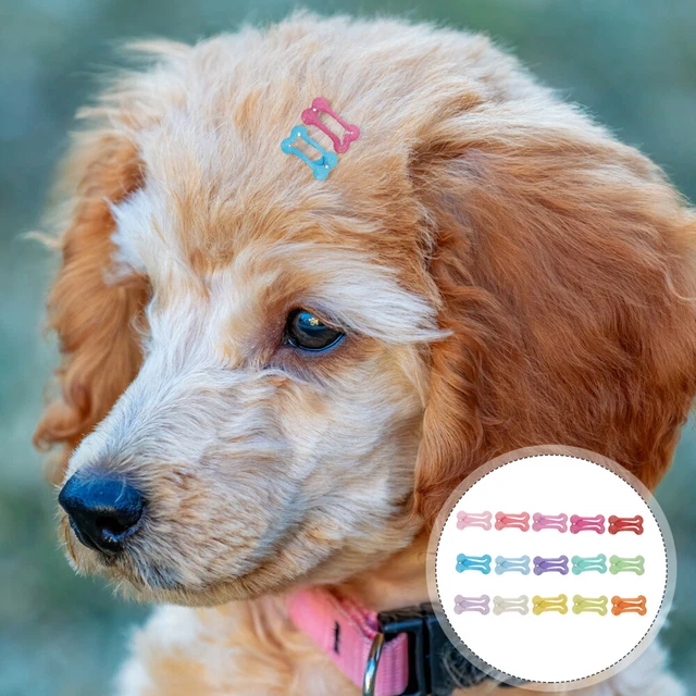 15 pz forcine per capelli osso per animali domestici clip per capelli per animali domestici accessori per capelli per animali domestici scheda emissione per animali domestici bambino