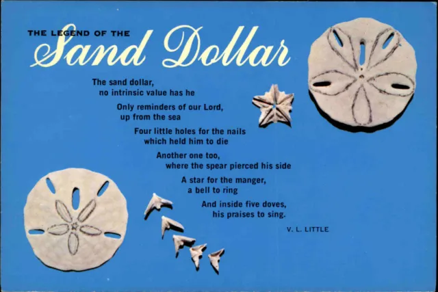 US-Postcard USA Postkarte the legend of "The Sand Dollar" Amerika AK ungelaufen