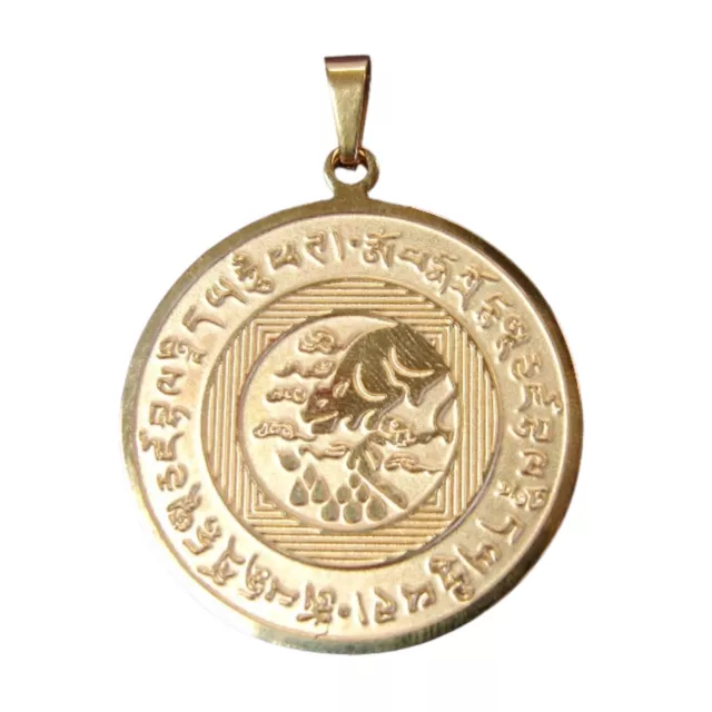 Feng Shui Big Money Talisman Amulet Pendant