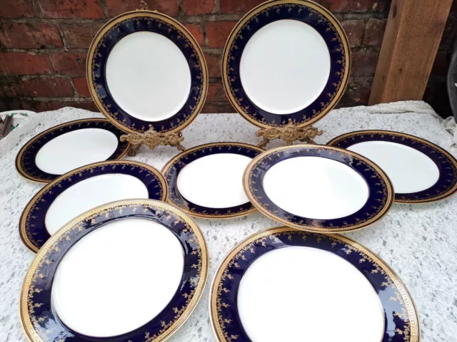 9 x Cauldon, England Gold Encrusted & Cobalt H2984 plates 10.25" Set#2