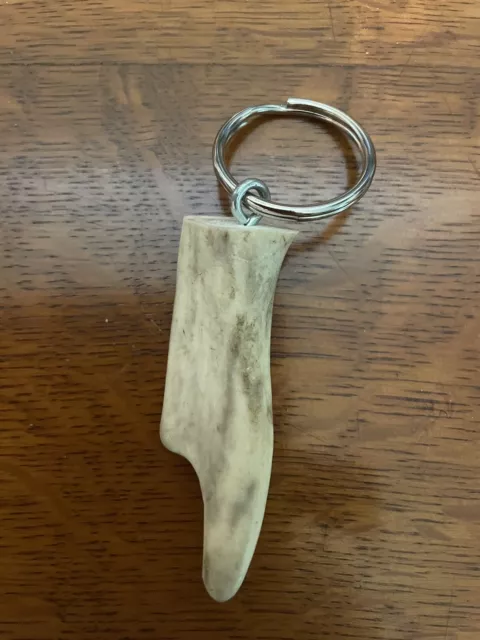 Taxidermy Deer Antler Keyring