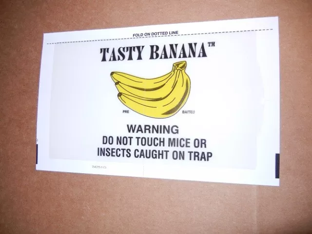 72 Catchmaster Banana Flavor Glue Board Mouse Traps 72TB