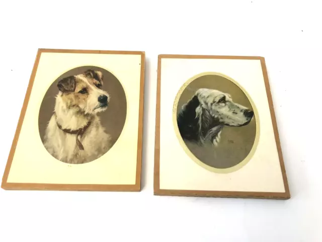 Dog Plaques Wall Pictures Small Mini English Setter Wire Fox Terrier Vintage