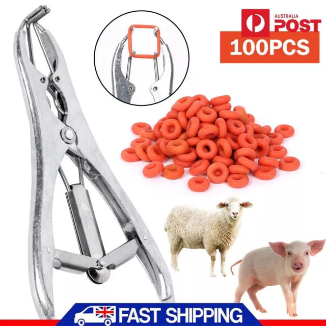 Sheep Lamb Goat Castration Plier Emasculation Tail Dock Applicator Free100 Bands