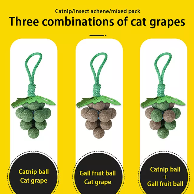 Freshening Breath Catnip Ball Clean Mouth Promote Digestion Interactive Cat Toy_