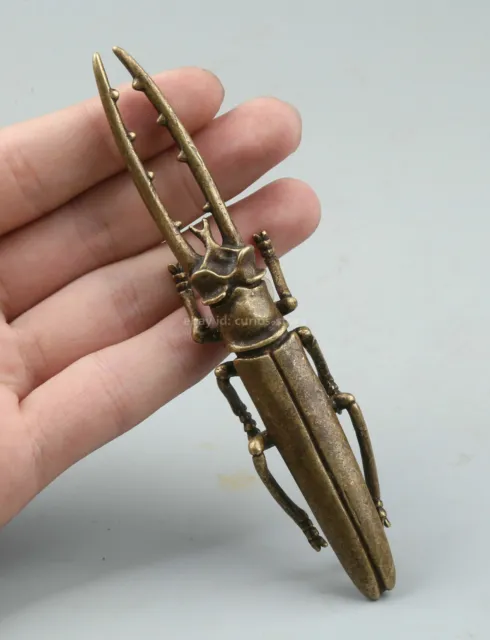 4.9" Collection Curio Chinese Bronze Insect Animal Unicorn Beetle Uang Statue独角仙