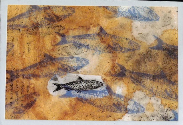 V04760 Australia Avant Card #4760 Fish in a Mocha postcard