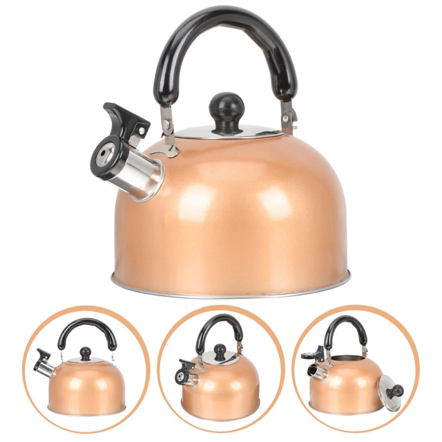 Large Capacity Kettle Camping Sound Pot Water Heater Kettle Jug