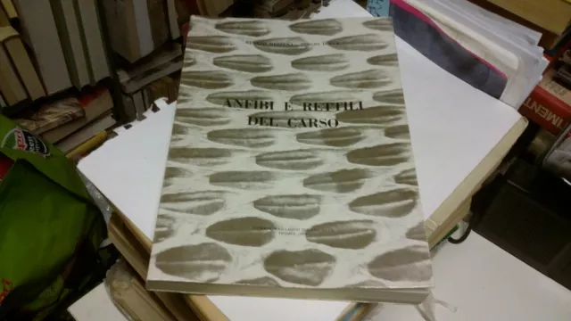 ANFIBI E RETTILI DEL CARSO -- TRIESTE 1977, 3a22 ANFIBI E RETTILI DEL CARSO -- TRIESTE 1977, 3a22