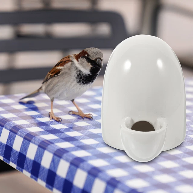 Dispensador de agua para animales pequeños Petg Hudroflask alimentación creativa segura