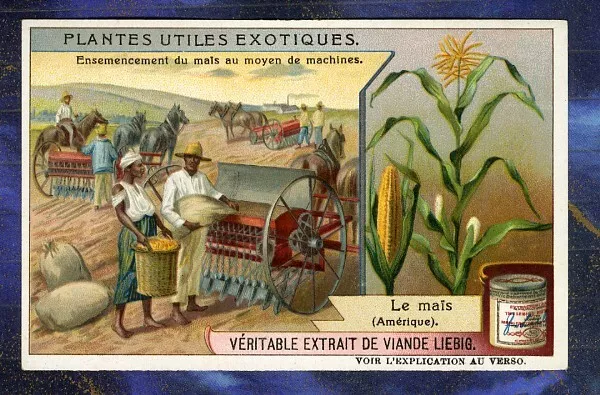 Chromo Liebig S970 Ma�s Amerique USA Maize Corn Old Trade Card Ensemensement