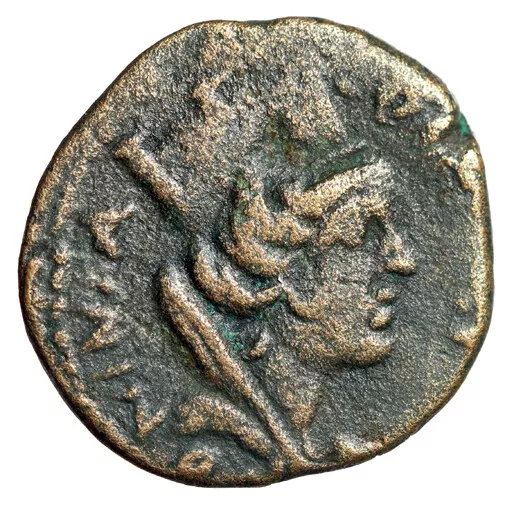 BEAUTIFUL Roman Provincial Coin w COA Carrhae TYCHE PORTRAIT Certified Authentic