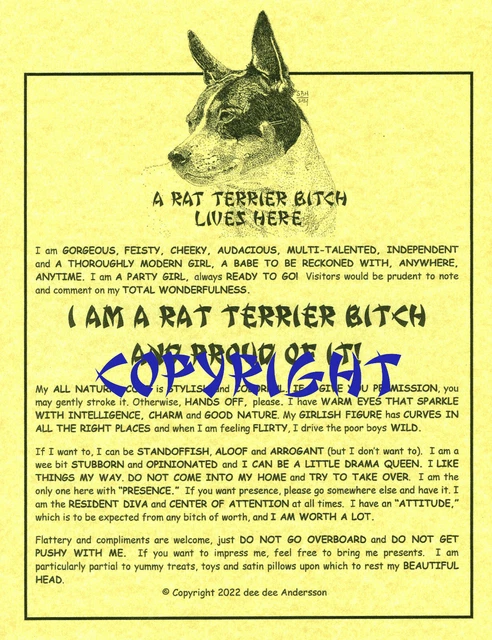 A Rat Terrier Bit^h Lives Here
