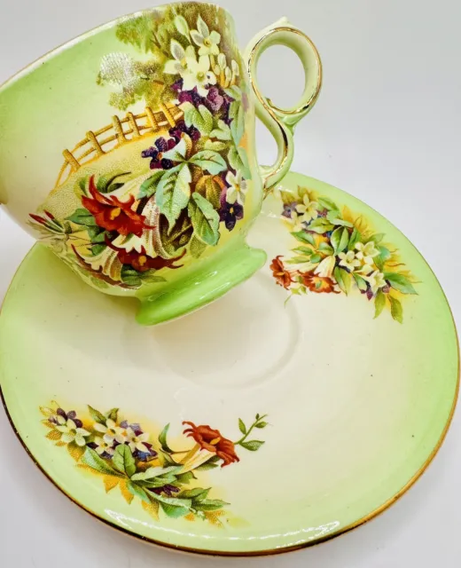 Royal Winton Grimwades Art Deco Trumpet Flowers Fence Scene Cup & Saucer, Teacup