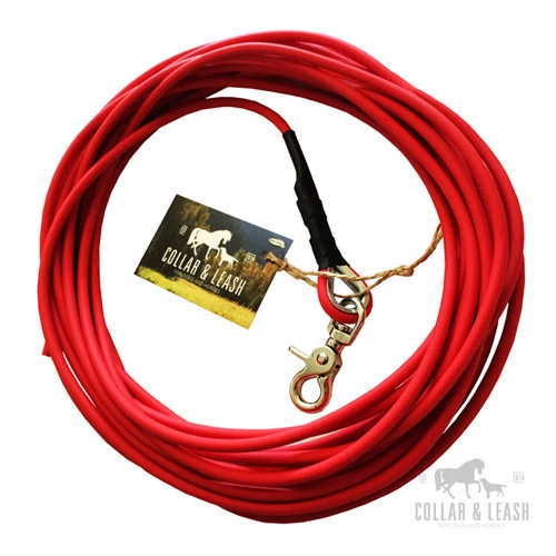 Guinzaglio Galleggiante Per Cani, Robusto Guinzaglio Senza Cinturino Da Polso, Galleggia Sull'acqua, Diverse Lunghezze, Arancione Brillante, 5 M - Foto 3