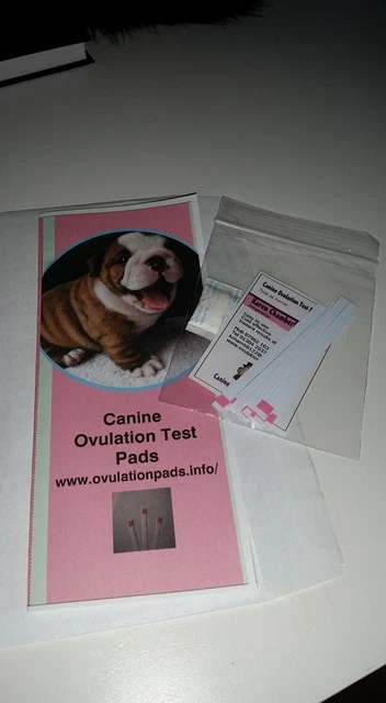 CANINE OVULATION TEST PADS 20 Pink Pads 16.95 PicClick UK