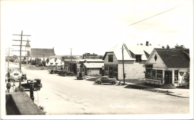BIRDS EYE MAIN STREET VIEW original real photo postcard rppc KALEVA MICHIGAN MI