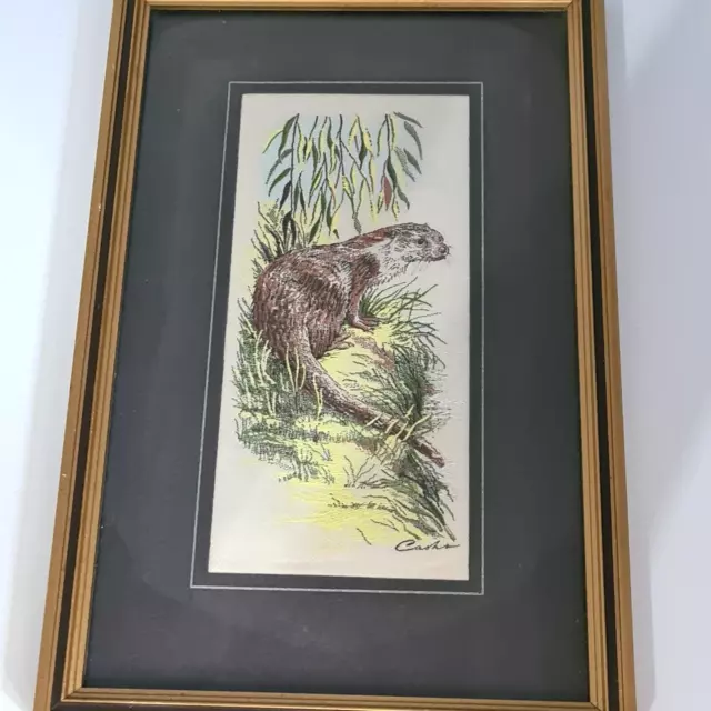Cash's Sammler Sortiment gewebte Seide Porträtbild mit einem Otter