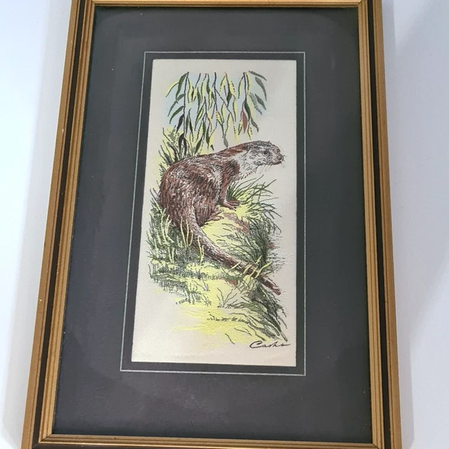 Cash's Sammler Sortiment gewebte Seide Porträtbild mit einem Otter