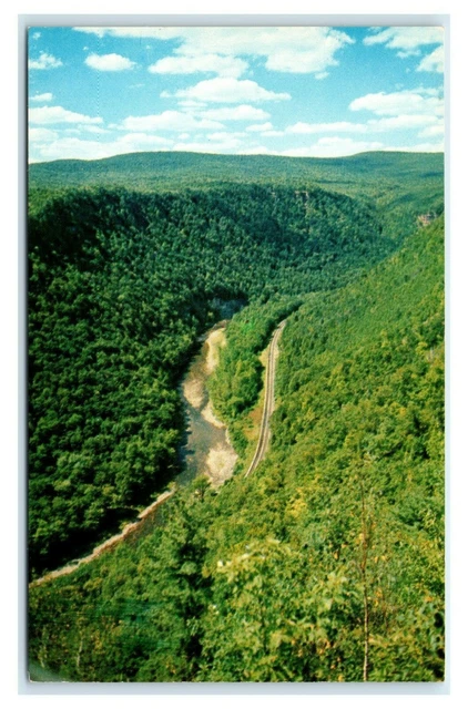 Postcard North View Leonard Harrison State Park PA  N12