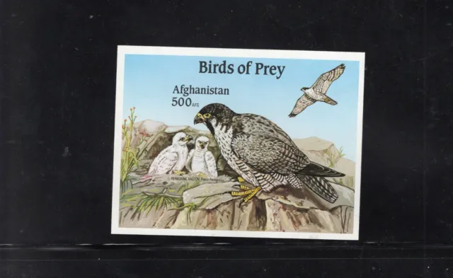 Afghanistan 2000 Vögel Von Prey, Peregrine Falcon Nest Jung Imperf Ms MNH