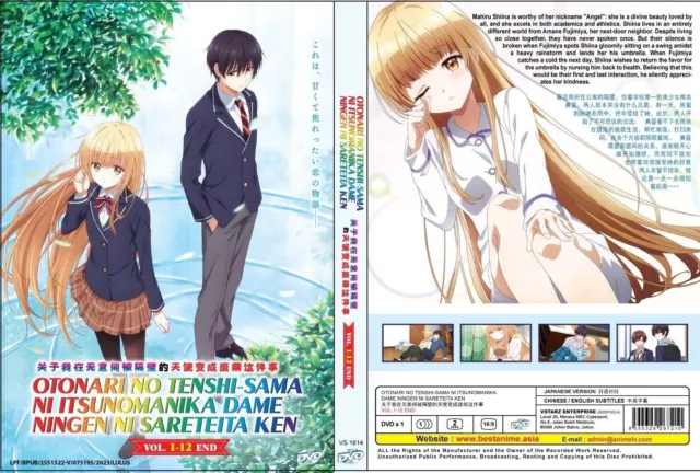 Anime DVD Watashi ni Tenshi ga Maiorita! Vol. 1-12 End + Movie + OVA ENG SUB